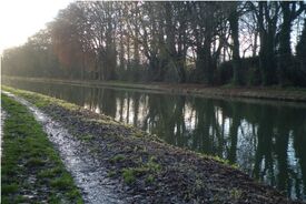 Canal de l'Escaut