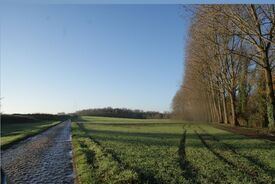 Chemin pavé - Chemin brantiau